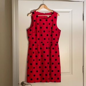 Jcrew Red and Navy Polka Dot Dress with Back Zip.